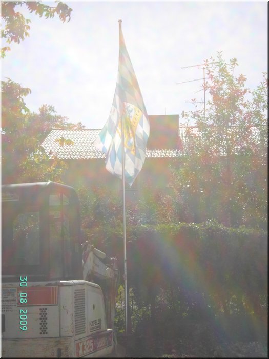 PICT8293.JPG