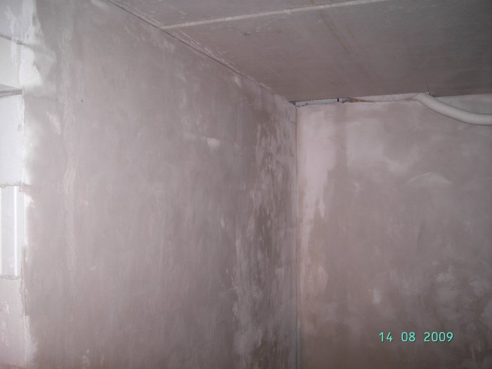 PICT8095.JPG