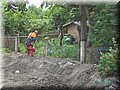 PICT6854.JPG