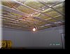 PICT8919.JPG
