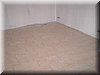 PICT0542.JPG